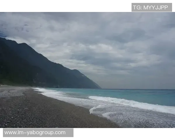 阿布拉汗在海港的告别与五年珍贵旅程的回忆与感悟
